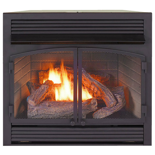 Procom Dual Fuel Ventless Gas Fireplace Insert - 32,000 Btu, T-Stat Control FBNSD400T-ZC